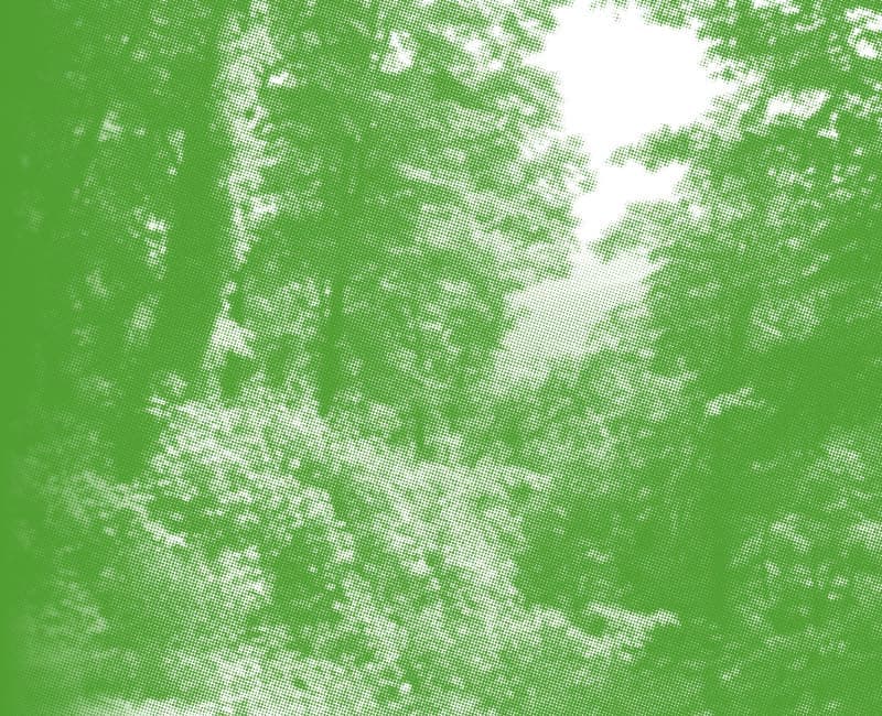 About Us – Responsibility – Dalkia About Us - Responsibility - Dalkia