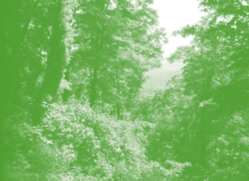 About Us – Our Leadership Team – Dalkia About Us - Our Leadership Team - Dalkia