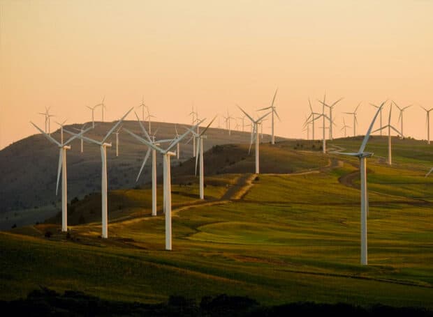 Sector – Energy & Utilities – Dalkia Sector - Energy & Utilities - Dalkia