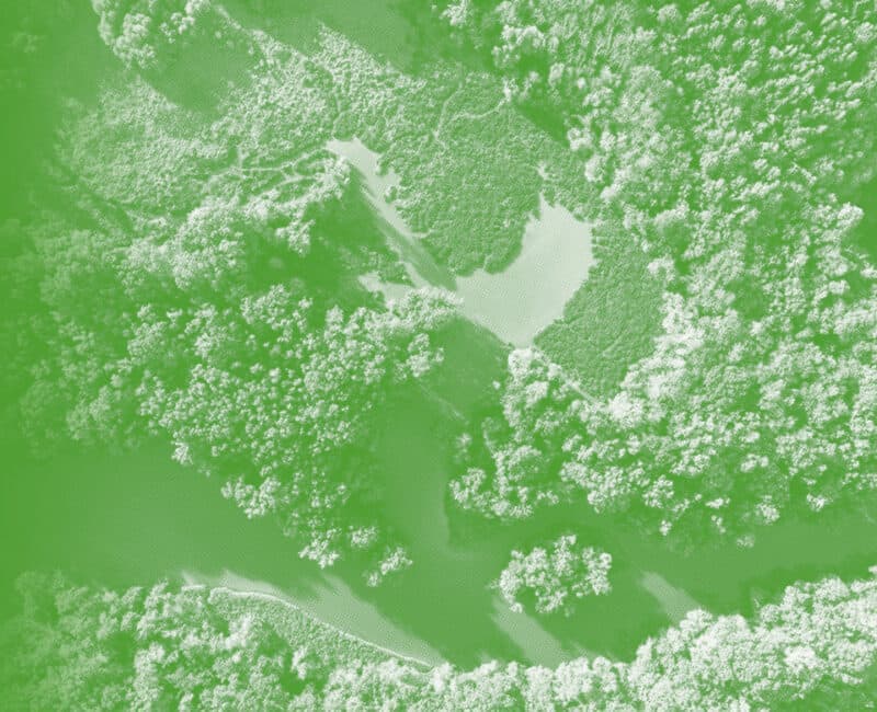 Our Vision & Values Our Vision & Values