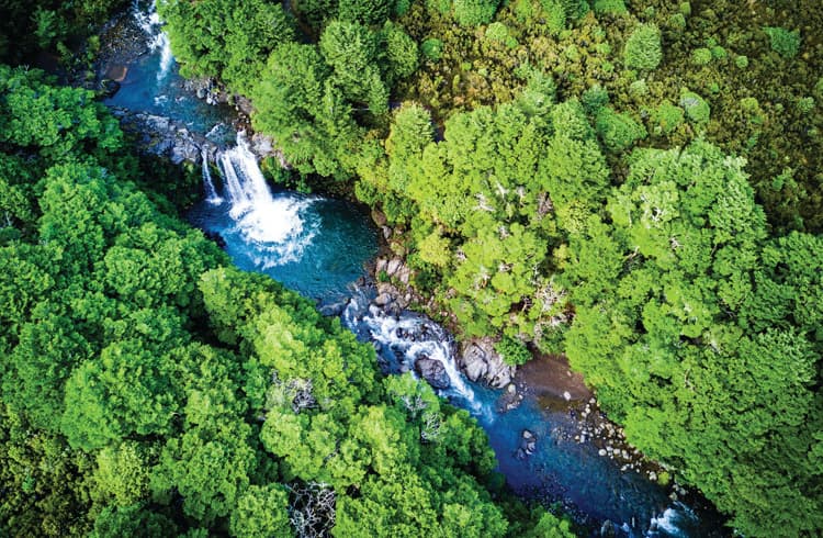 Environmental Positive Impact | Dalkia | Together to Net Zero Environmental Positive Impact | Dalkia | Together to Net Zero